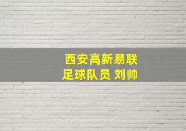 西安高新易联足球队员 刘帅